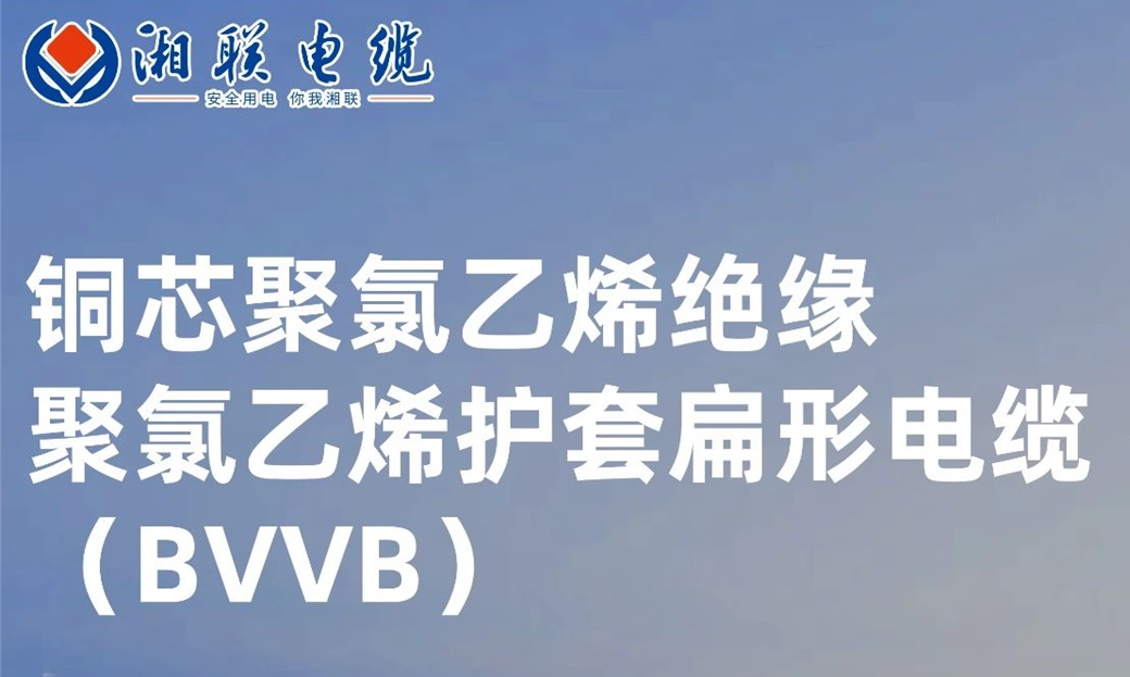 國標認證，品質保障 | 一文解析BVVB（銅芯聚氯乙烯絕緣聚氯乙烯護套扁形電纜）